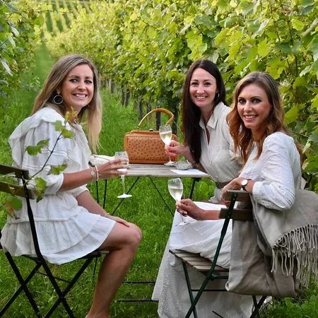 Albury Organic Vineyard