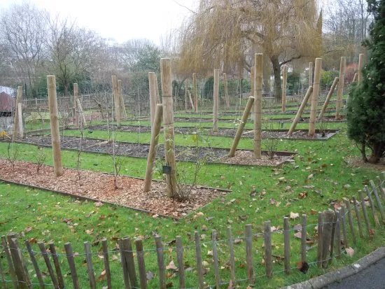 Jardin Botanique