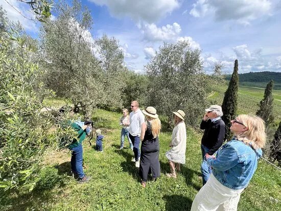 Mascagni Organic Farm