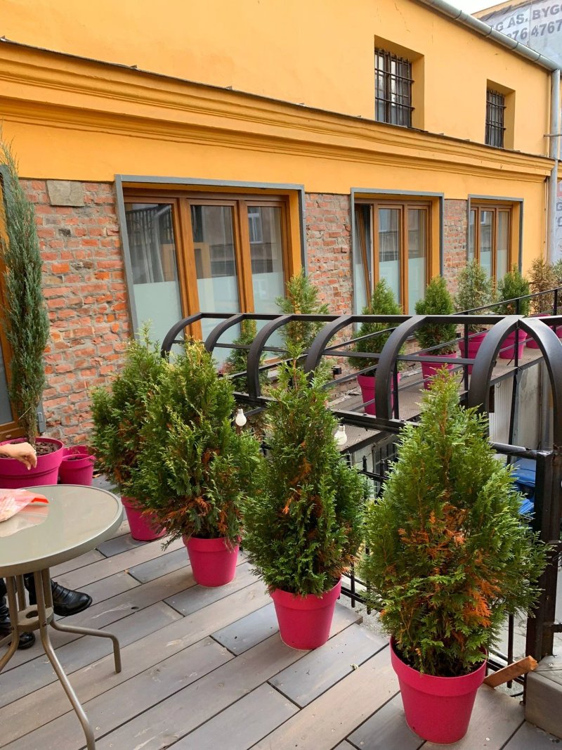 Hostel Kaktus Krakow