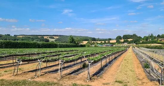 Manor Farm Fruits