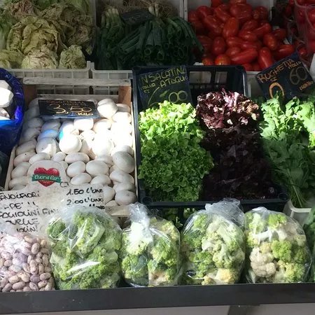 Mercato Di Testaccio