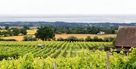 Halfpenny Green Wine Estate
