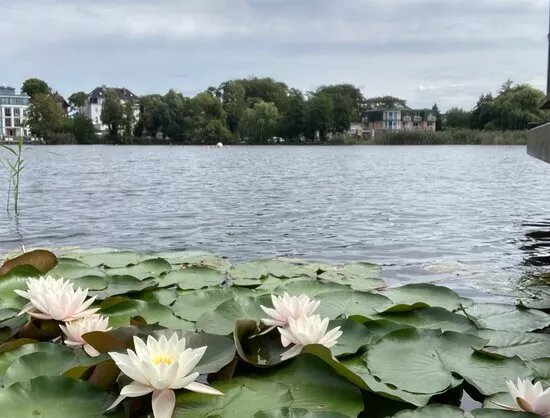 Schloonsee