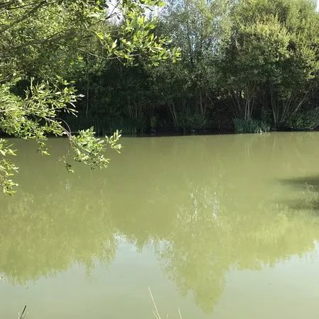 Claygate Lakes