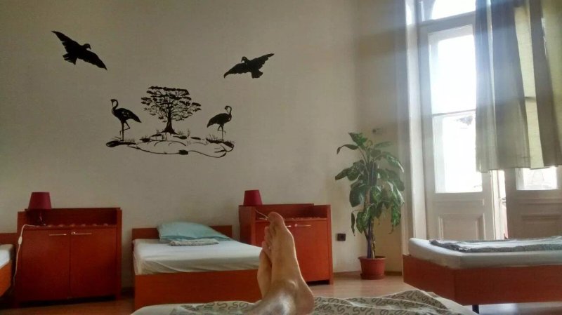 Black Apple Hostel