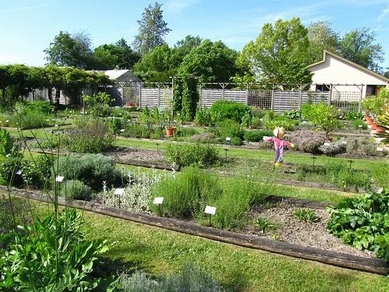 Conservatoire National des Plantes