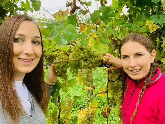 San Gregorio Prosecco