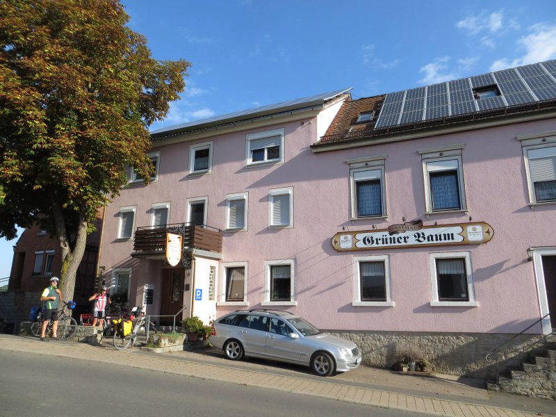 Grüner Baum