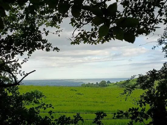 Cairn Wood