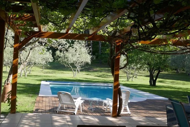 House in Provence with swimming pool, olive grove and hill