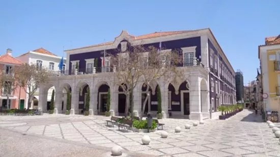 Camara Municipal De Setubal