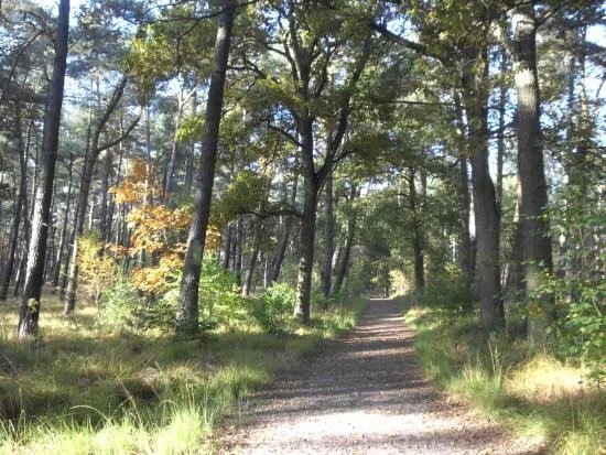 Wandelroute Mier