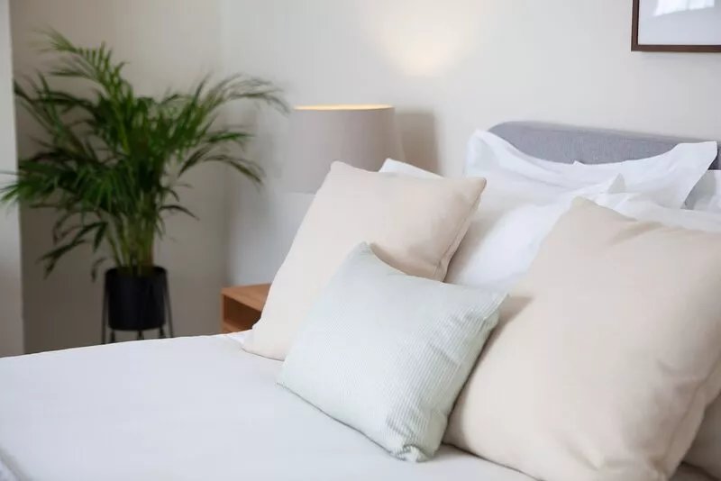 Spacious and stylish Montpellier apartment. Parking Included.