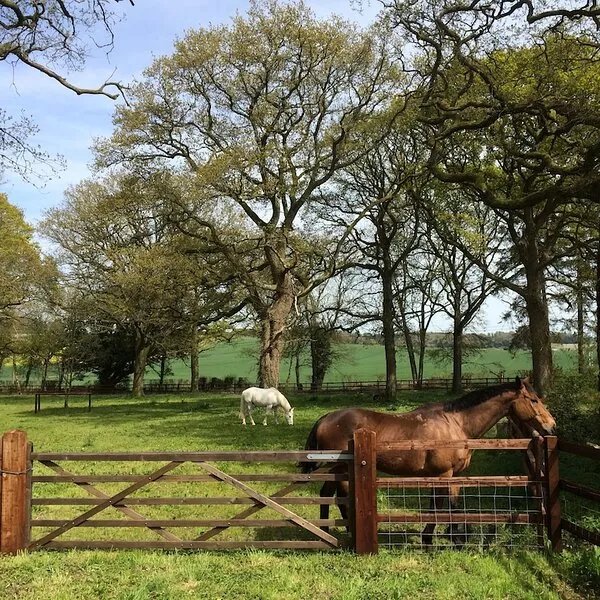Owls Lodge - a peaceful retreat for two