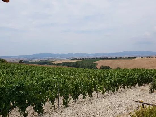 Gianni Moscardini Winery
