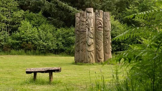 Hamsterley Forest