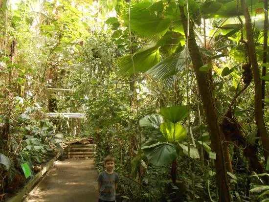 Palmiarnia Poznanska (Palmenhaus Poznan)