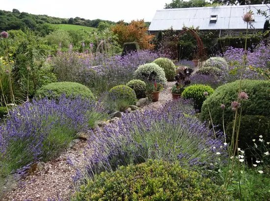 Dyffryn Fernant Gardens
