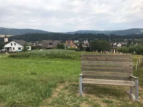 Banc Special Pour Longs Cous