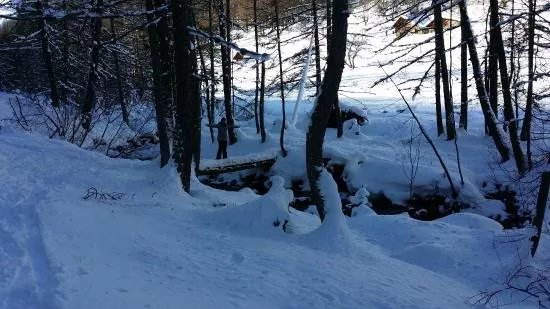 Vallon de Narreyroux