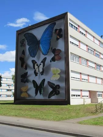 Fresque "Collection de papillons"