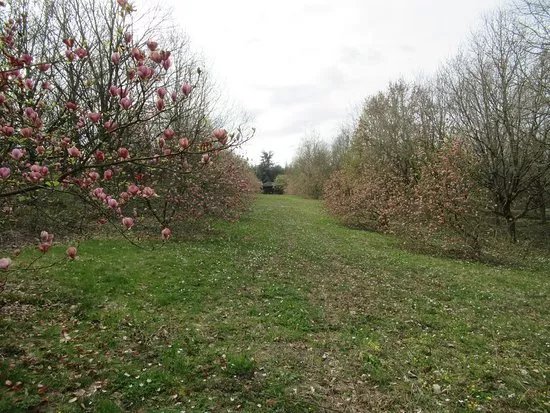 Arboretum de la Roche-Guyon