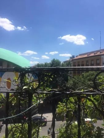 El Viajero Terraza