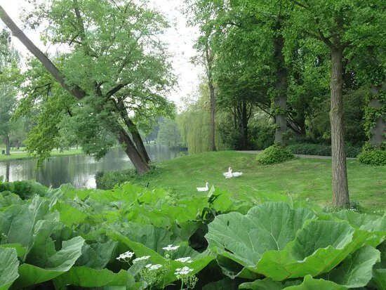 Kamper Stadspark