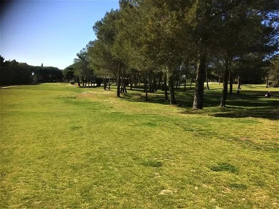 Golf Blue Green l'Academie