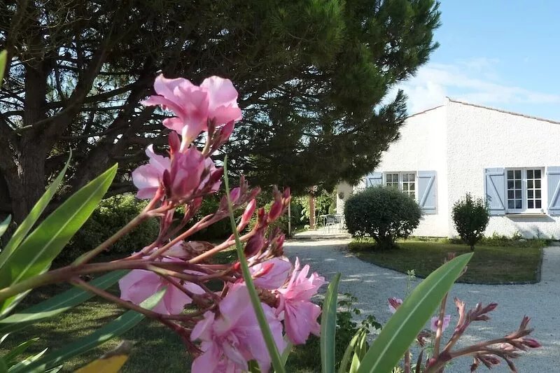 Villa 7 people 80m from the beach-garden 1000m2-quiet-in a secluded