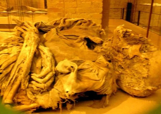 Museo della Cripta - Le Mummie di Monsampolo