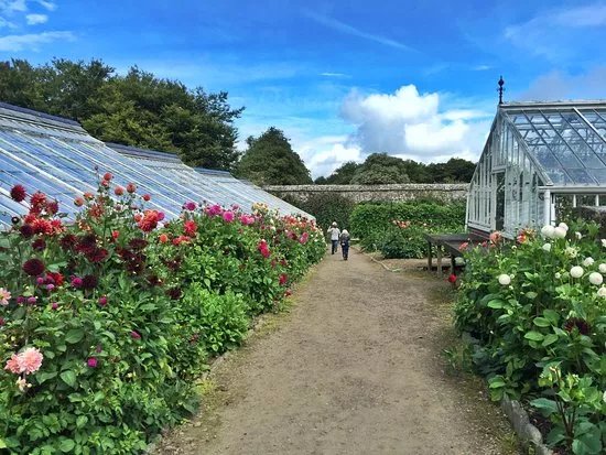 Clovelly Court Gardens