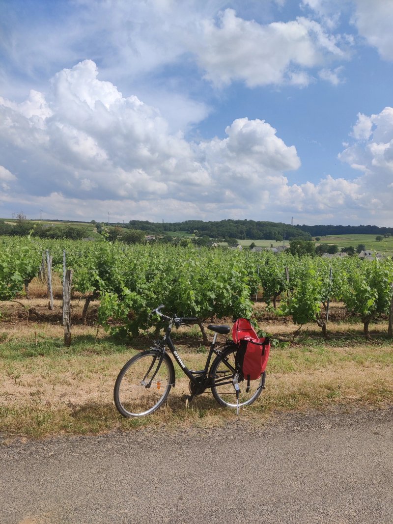 Azay le Rideau Cycles