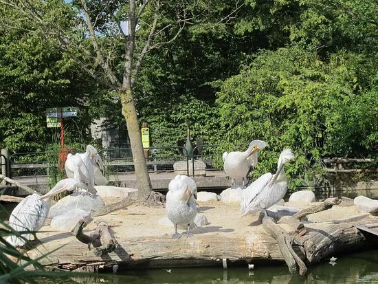 Allwetterzoo Munster