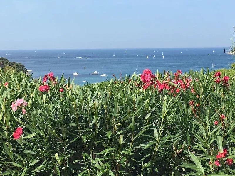 Sanary house on 2 levels 100m2, terrace 50m2 swimming pool, sea view in property