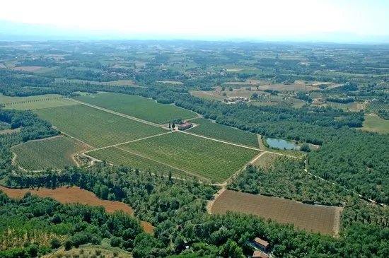 Tenuta Vitereta