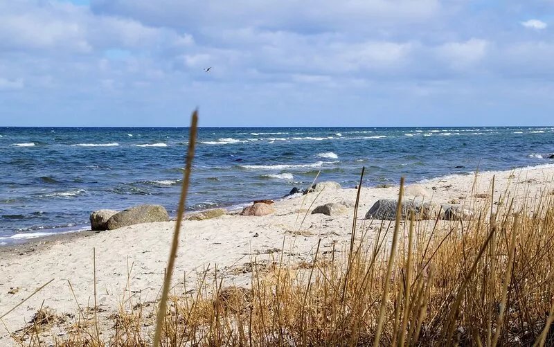 5 ***** holiday home on the Baltic beach with sauna, fireplace, Wi-Fi and garden