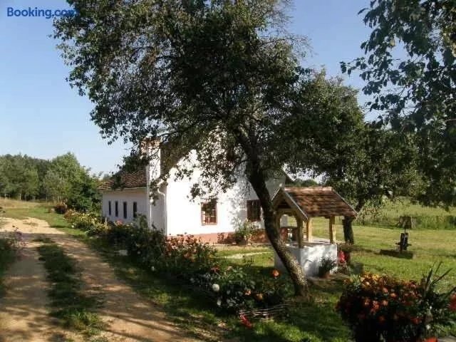 Multidezo Porta - Nepi Muemlek Hazak Az Orsegben