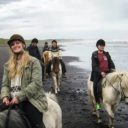 Alhestar Horse Rental and Tours