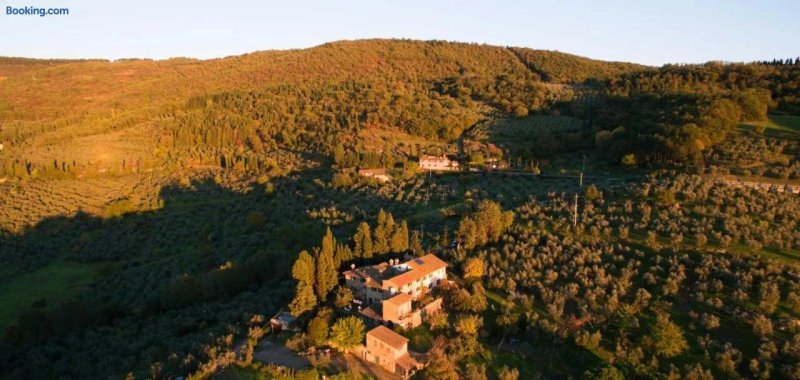 Fattoria Poggio di Fiesole