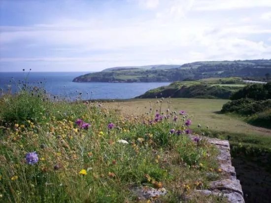 The Wildlife & Forts of Berry Head Trail