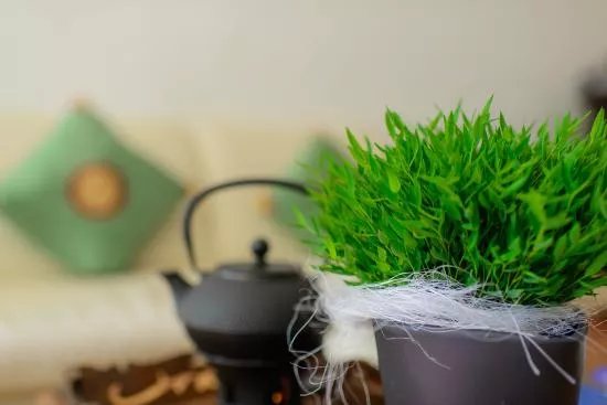 Sathu Thai Spa & Massage