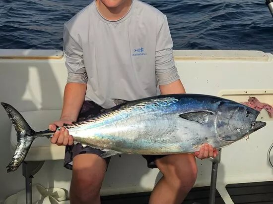 Charter Pescamar