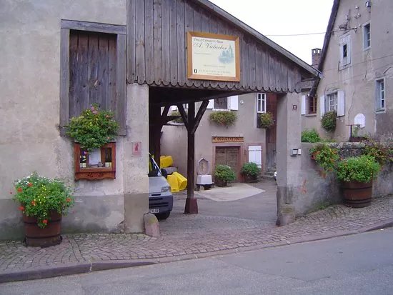 Vins Andre Vielweber