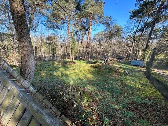 Paintball Larchant 77
