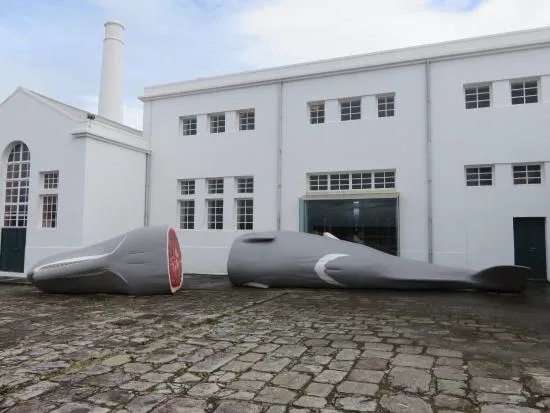 Museu da Fabrica da Baleia do Boqueirao