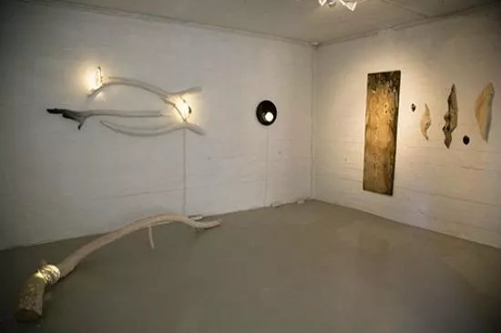 Galleria Ronga