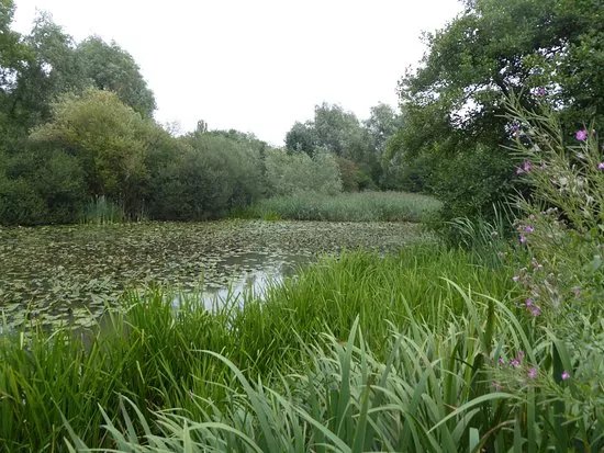 Woods Mill Nature Reserve