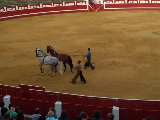 Plaza de Toros Los Rosales